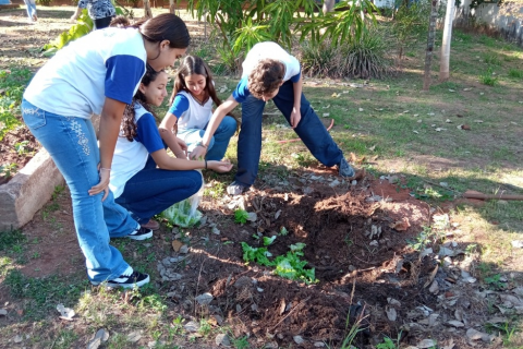 Projeto desenvolvido por estudantes de Álvares Machado é selecionado para participar de conferência nacional pelo meio ambiente em São Paulo